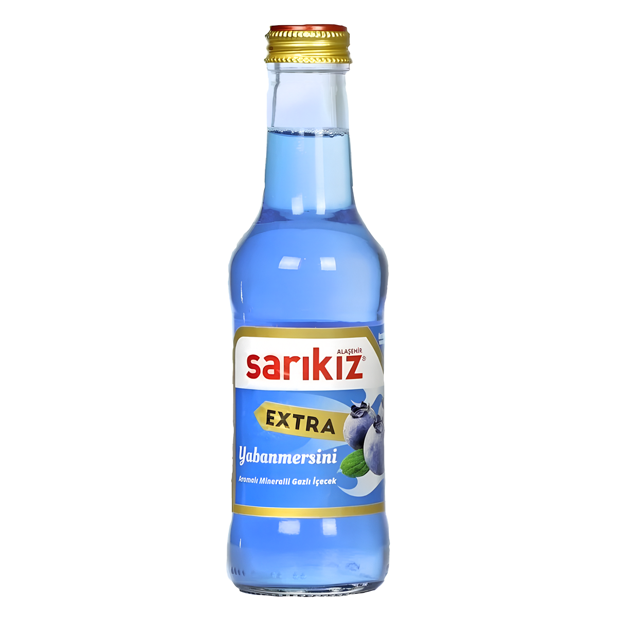 SARIKIZ BLUEBERRY 200ML