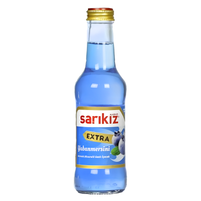 SARIKIZ BLUEBERRY 200ML