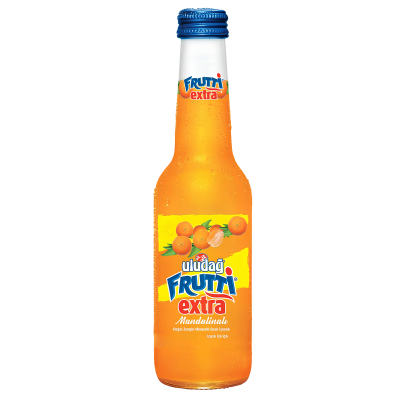 ULUDAG FRUTTI EXTRA MANDARINE 250ML